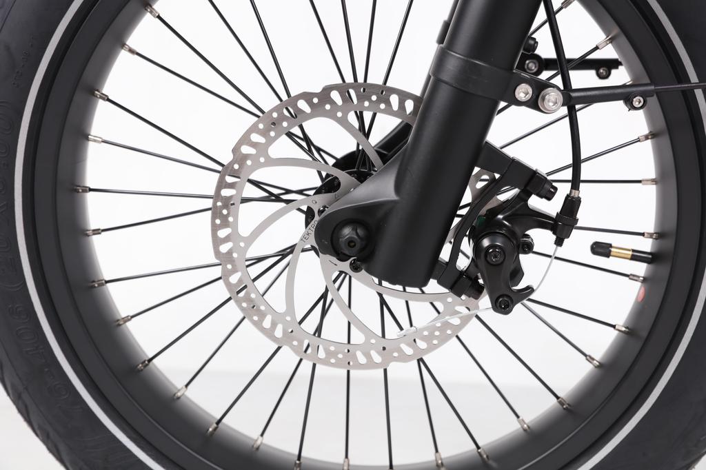 JOBOBIKE ROMER Electric Bicycle 250W Quiet Motor 48V 15Ah Battery Front Suspension for Smooth Riding Experience