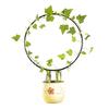 Plant Circle Trellis Climbing Plants Coated Wire Trellis Planter Insert Heart