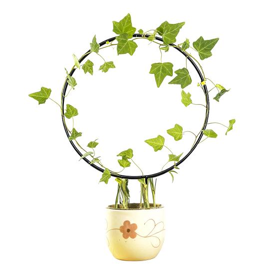 Plant Circle Trellis Climbing Plants Coated Wire Trellis Planter Insert Heart