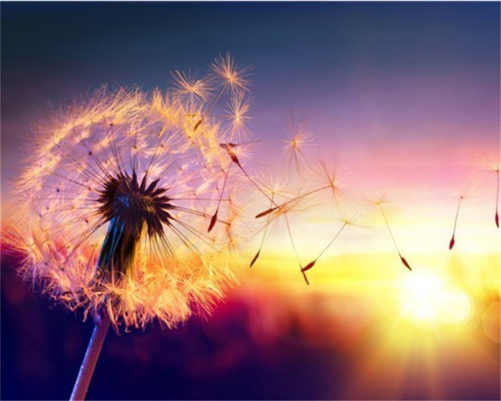 5D Diy Diamond Painting Dandelion Diamond Embroidery Mosaic Sunset Flower Cross Stitch Mosaic Picture Home Decoration Gift