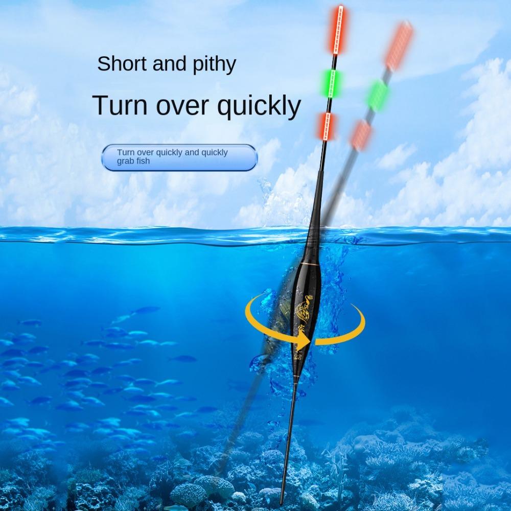Long Tail Electronic Fishing Float 2 Light Rock Fishing Floats New Light Float  Night Fishing