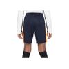 Nike Dri-FIT Academy 23 Футбольные гладкие мягкие трикотажные влагоотводящие прохладные удобные шорты Детские шорты цвета обсидиан, оранжевый, ярко-фиолетовый DX5476-475