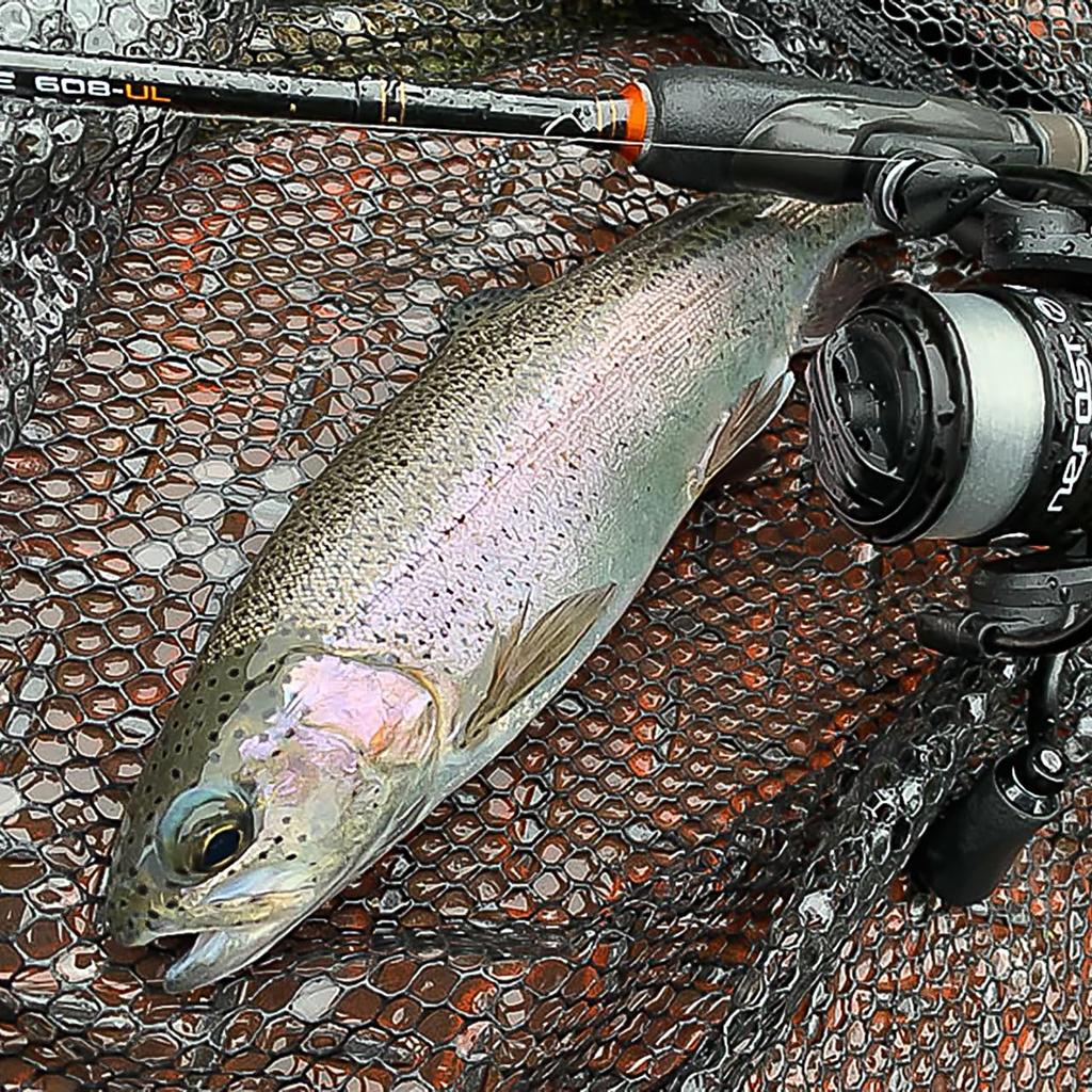 Prox Landing Aluminum Frame with 60cm Net, (Four-Fold) Rubber-Coated Net, PX98860GM, Gunmetal,