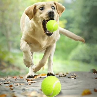 Мини-надувной мяч для кошек и собак, Lnteractive Ball Nip, игрушка для дрессировки собак, домашних животных, играющий в мяч, товары для домашних животных, игрушки для кошек