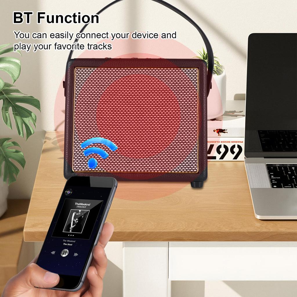 Rowin 30W Electric Guitar Amplifier with OTG and Rechargeable Portable Acoustic Guitar Amplifier with Reverb and Chorus Mic Aux and Headphone Jack for