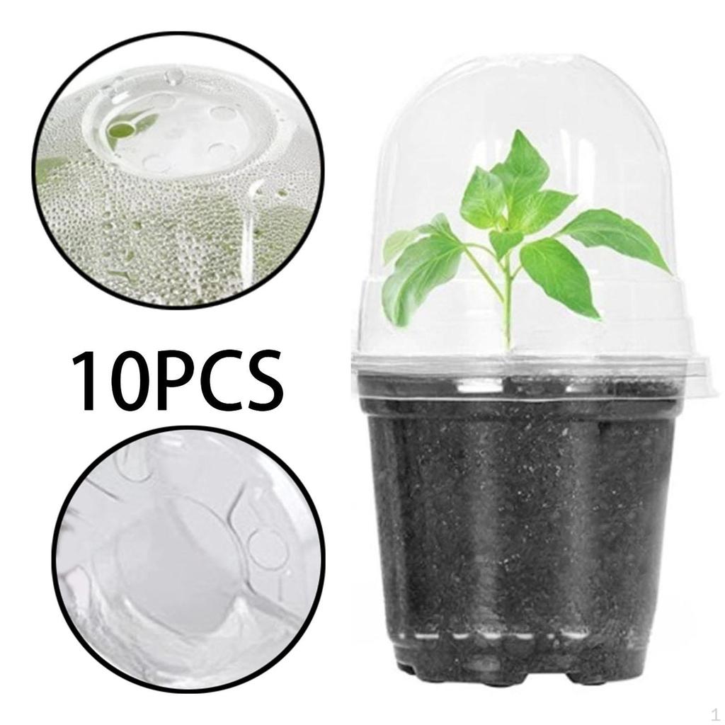 10 садовых горшков с куполообразными лотками для начинающих, многоразовые моющиеся контейнеры для растений