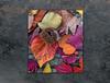 GLASS CUTTING BOARD 45x52 Leaves