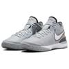 Nike Кроссовки Zoom LeBron NXXT Gen EP Серый волк повседневные DR8788-004