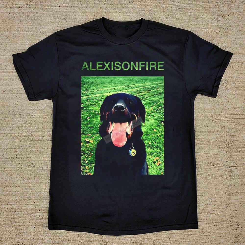Funny Dog Alexisonfire Band T Shirt Full Size S to 5XL OB1127