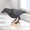 Simulation Parrot Figurine Raven Bird Figurines Collection Early Education Animal Sculpture