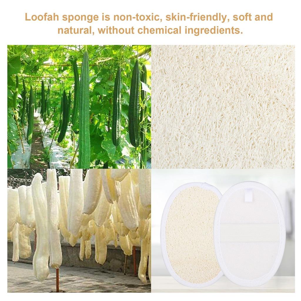 5 Pieces Of Exfoliating Sponge Pad Natural Towel Gourd Sponge Scrub Body Gloves For Men And Women, Suitable For Bathing Spa