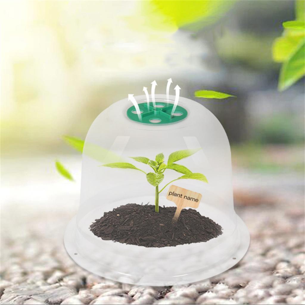 Garden Cloche Plant Bell Cover 6 Pack Plant Cover Ground Securing Peg