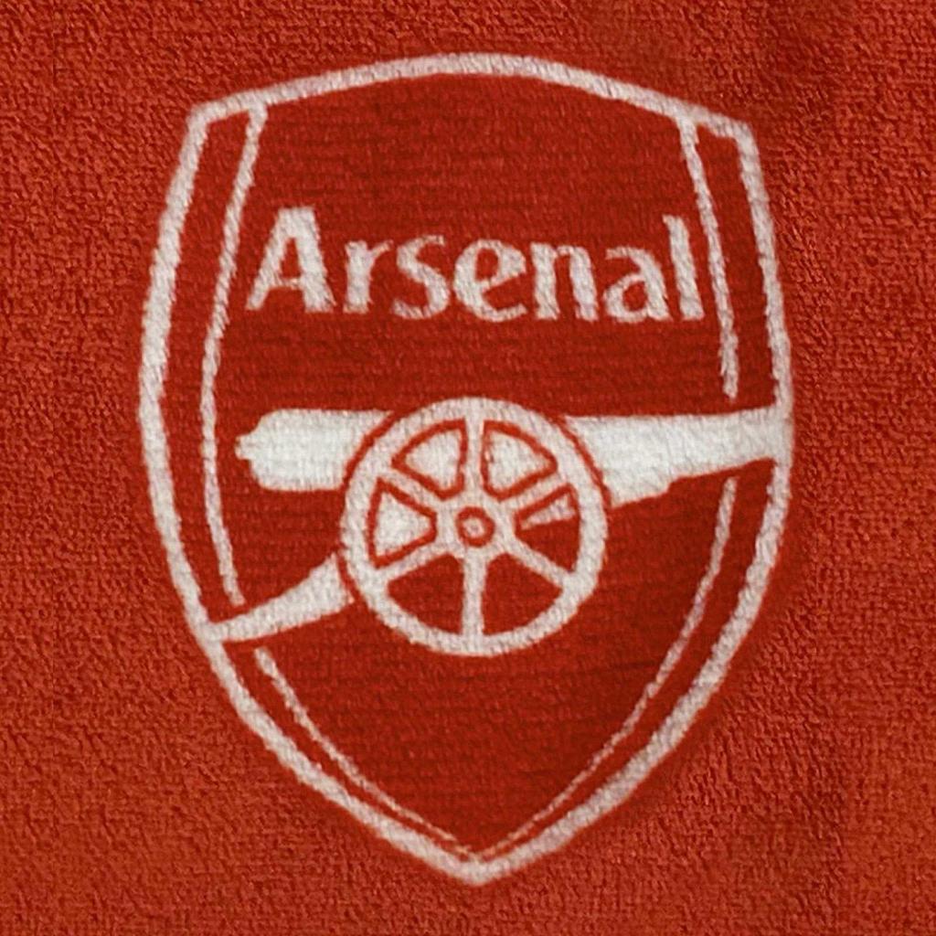 Arsenal FC Childrens/Kids Crest Fleece All-In-One Nightwear