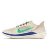 Nike Air Winflo 9 Premium Coconut Milk Stadium Зеленые мужские кроссовки Кремовые Sanddrift Racer-Blue DV8997-100