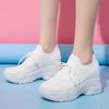 Daddy Shoes Women's Ins Tide 2025 Autumn New Korean Version Mesh Platform Muffin Flying Woven Sneakers