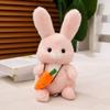 Cartoon Long Hair Carrot Rabbit Plush Doll Pillow Black Brown Pink Rabbit Animal Plush Appease Toy Birthday Gift for Girl