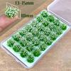 Model Grass 110mm Length 65mm DIY Cafts Large Scale
