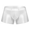 Men's Underwear Boxer Short Breathable Seamless Transparent Briefs Swimming Trunks Underpants