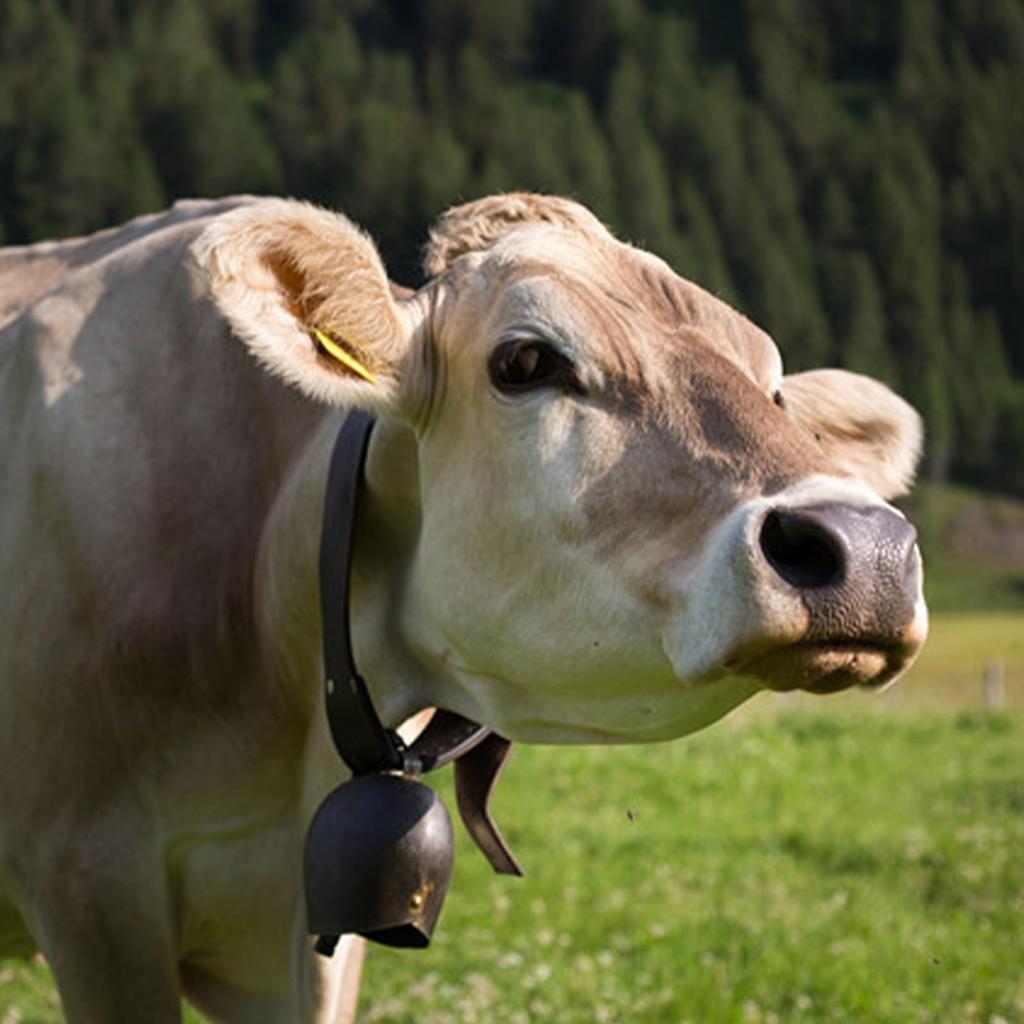 PATIKIL 1.4 X 2.4 X 1.4" Mini Cowbells, Pack of 18, Iron Vintage Style Metal Festive Bells, Animal Design, Anti-Lost, Red Bronze