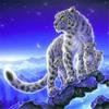 50x50cm Diamond Painting New Animal 5D DIY Diamond Embroidery Cross Stitch Tiger Pictures Of Rhinestones Mosaic Craft Kit