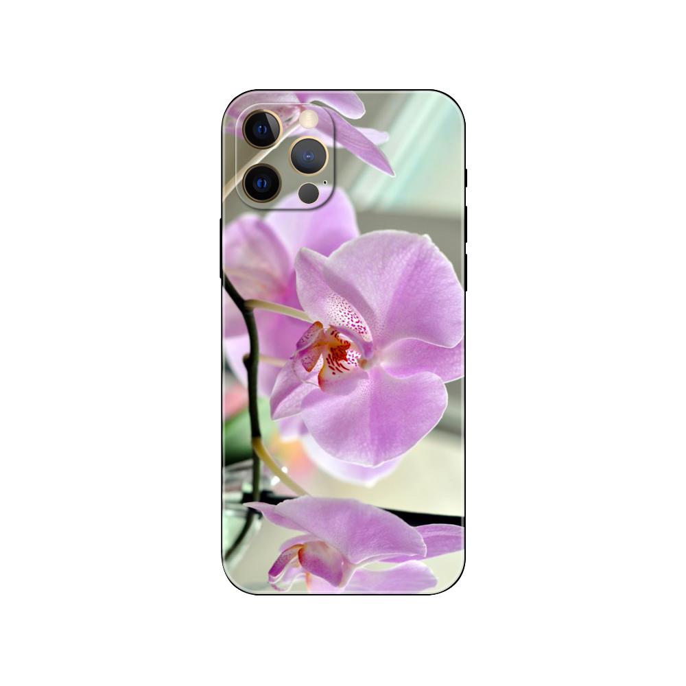 Чехол для телефона Orchid Flowers Colorful для iPhone 5 5s 2020se 6 6s 7 8 plus x 10 XR XS 11 12 13 mini pro MAX черная задняя крышка из ТПУ