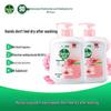 Dettol Moisturizing Antibacterial Hand Wash & Hand Cream Set