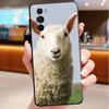 Чехол для телефона Motorola Edge 50 40 Pro 60 50 40 30 Ultra Neo Fusion Moto G85 G72 G53 G54 G84 G13 G32 Милая Овечка