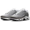 Nike Мужские кроссовки Air Max Plus SE Flat Pewter Серые Photon-Dust Black DV7665-002