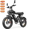 Electric Mountain Bike YVY 20" 1000Wx2 Motor Adult Ebike 52V 40AH Max Range 180Km Load 150Kg Black C20 Max