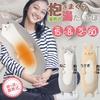 Hiro Corporation Heat Storage Hug Pillow Hot Water Bottle Cat Plush Toy, Cute, Warm, Rechargeable