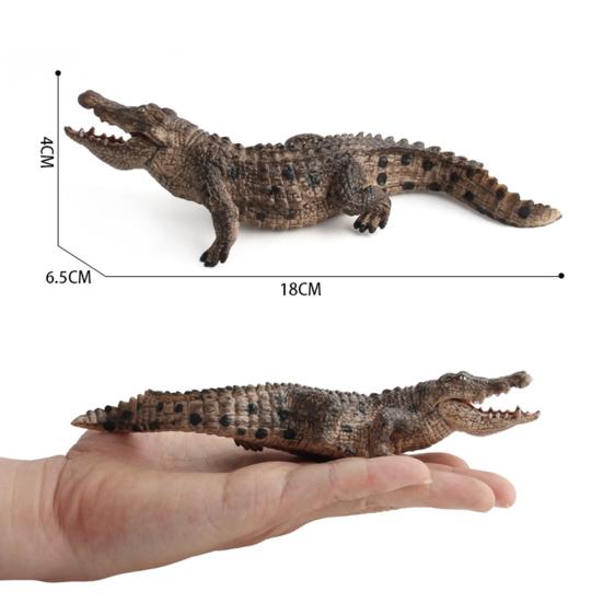 Simulation Crocodiles Wild Animal PVC Figurine Model Craft Educational Kids Toy