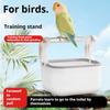 Товары для животных Подставка для попугая, стойка с фиксированной точкой для дефекации, специальная настольная подставка для птиц, матовые игрушки