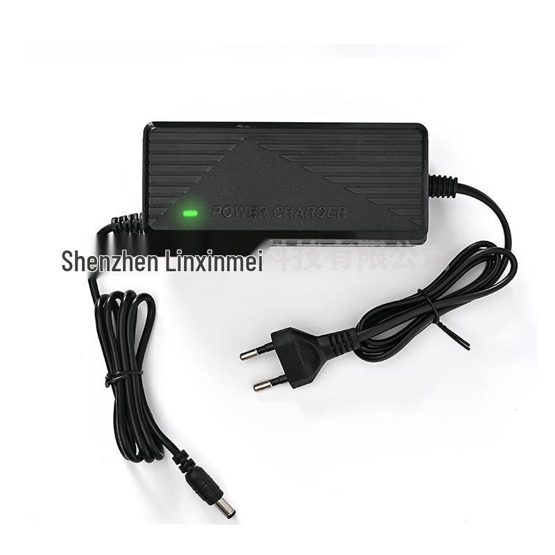 Зарядное устройство для аккумулятора LiFePO4 14,6 В 6 А для аккумуляторной батареи 12,8 В - Четыре последовательно соединенных элемента