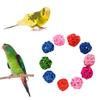 10pcs Parrot Chewing Toy Ball Primary Color Bird Training Interactive Toy Bird Cage Decoration Pet Supplies