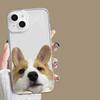 Милый забавный чехол для телефона с собакой для iPhone 17 Air 16 16e 17e 15plus 14 13 12 11 Pro Max Прозрачный противоударный нескользящий мягкий чехол