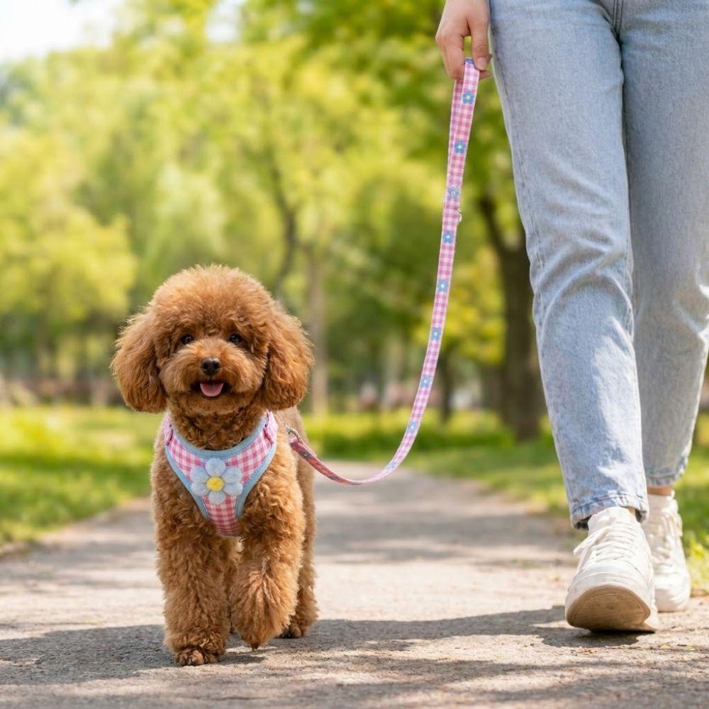 Breathable Dog Harness Leash Set Vest Type Dog Chest Strap Cat Traction Rope Puppies Kittens