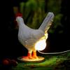 LED Hens Lay Eggs Lamps Statue Night Lights Funny Chicken Eggs Lights  Home Decor