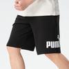 Puma Мужской повседневный комплект: футболка с коротким рукавом и шорты для бега