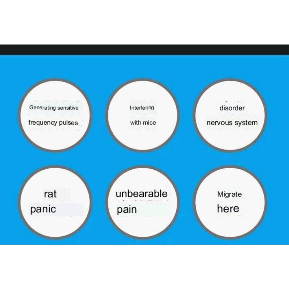 Ультразвуковой электронный отпугиватель грызунов, домашний отпугиватель насекомых, мини-отпугиватель комаров против комаров, пауков, мух, муравьев, блох, нетоксичный, экологически чистый