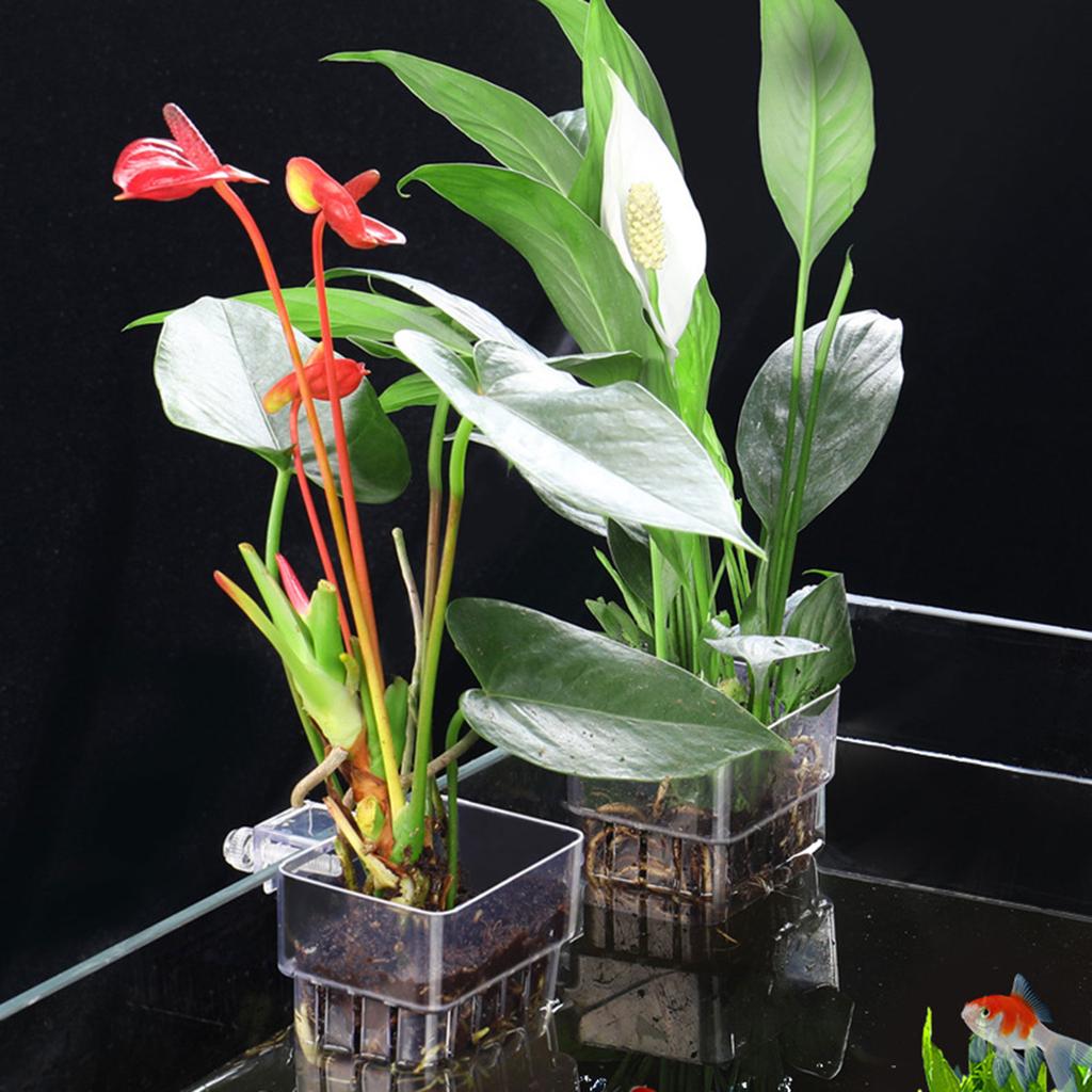Aquarium Plant Holder Aquatic Plant for Classical Rimmed Fish Tanks Hangings Pots for Rimless Aquascapes Decorations