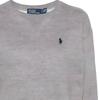 Polo Ralph Lauren Пуловер с круглым вырезом и принтом логотипа, с длинным рукавом, женский свитшот, серый 211943006-004