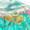 1/2/3/4 шт. 3D Кубик Игрушка-антистресс для снятия стресса и тревоги Прозрачный Кубик-ракушка Океана Сенсорная игрушка Портативный Мягкий Кубик из ТПР Сжимаемая игрушка Сувениры для вечеринки