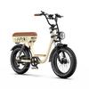 W77 Beige 500W Motor Power 48V18AH Battery 20 * 4.0 Tires 7-speed Hydraulic Brake Maximum Speed 40KM/H Urban Road Electric Bicycle