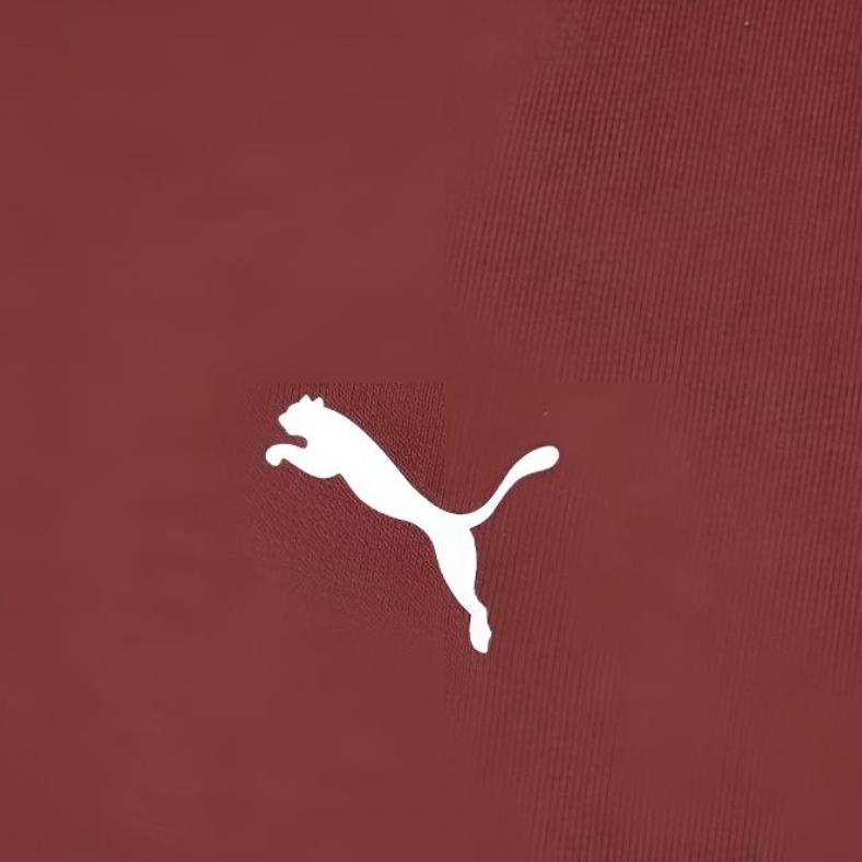 Puma Худи Race Ahead Терри Лунный Новый год Свободный крой Вязаная толстовка Унисекс худи 636088-28