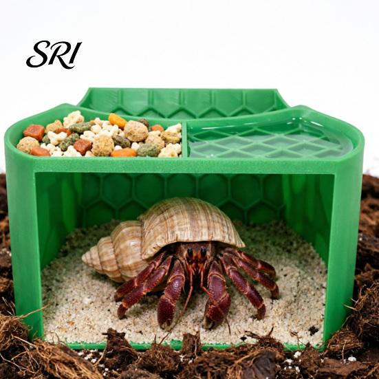 Hermit Crab Hide Food Dish Combo 2-in-1 Cave Shelter Feeding Tank Hideout And Feeder with Climbing Accessory Dual Bowls Textured Ramp Viewing