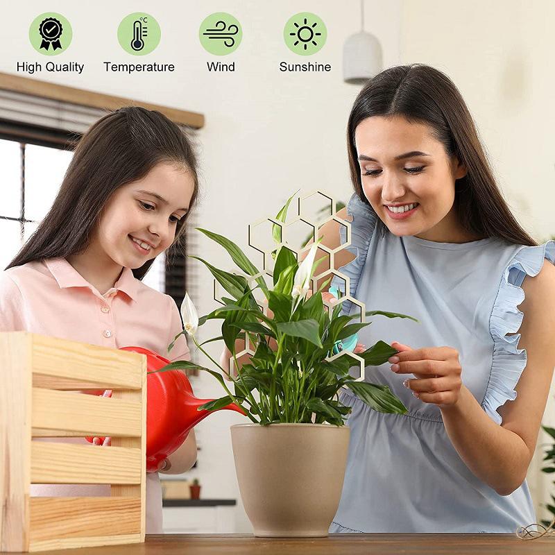 1 шт. решетка для горшечных растений, решетка для растений в помещении, деревянная, в форме сот, горшечные растения, стебли цветов, лозы, тренировочная стойка для скалолазания