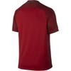 Nike Portugal Home V-Neck Raglan Short Sleeve Soccer Jersey Men Tops Fitness-Red Deep-Pomegranate-Red White 724620-687