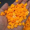100g Crunchy 6 Petal Flower Particles Slime Fillers Stuffing Building Blocks  Craft Accessories