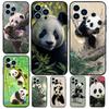 Panda Animal Cute Bear Case For iPhone 15 16 14 13 12 11 Pro Max Plus X XR XS Max 12 13 Mini Soft Bumper Cover