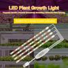 LED Plant Grow Light Strips for Indoor Plants Red & 3000K Sunlike Grow Lamp for Hydroponics